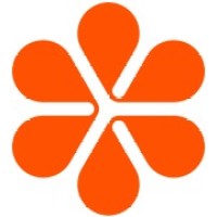 Dandelion Networks Logo